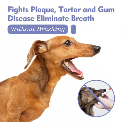 Avasoma® Pet Tooth Cleaning Spray