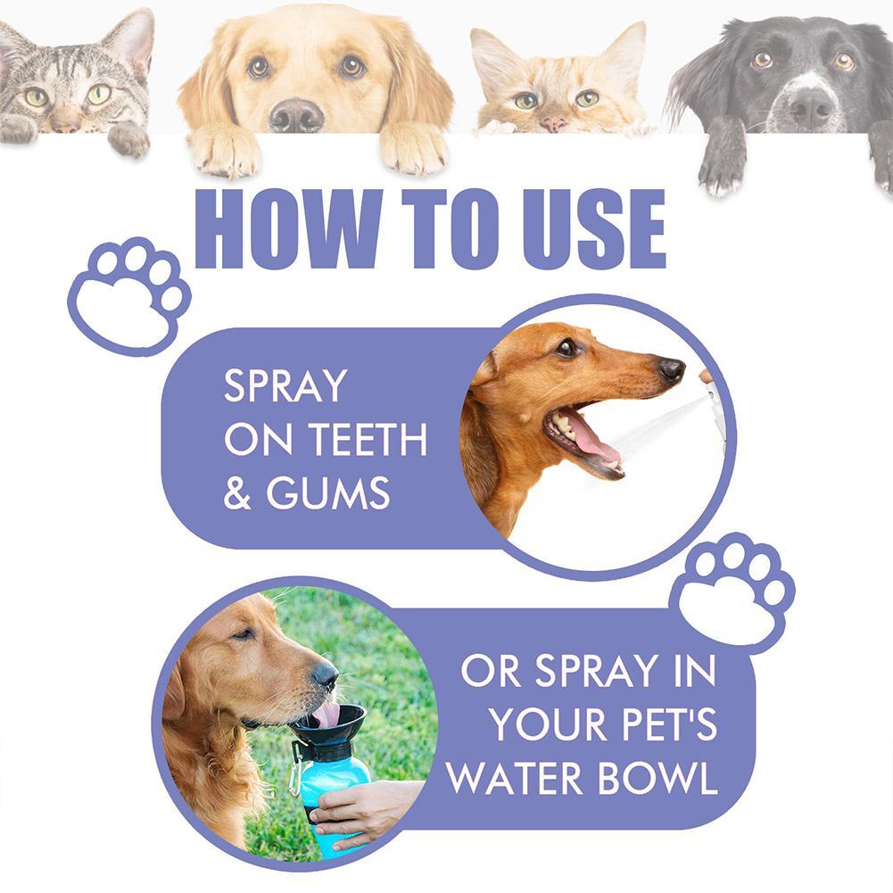 Avasoma® Pet Tooth Cleaning Spray