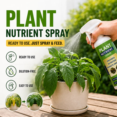 🌿Ready-to-Use Plant Nutrient Spray for Indoor Plants, Flowers, Vegetables & Trees