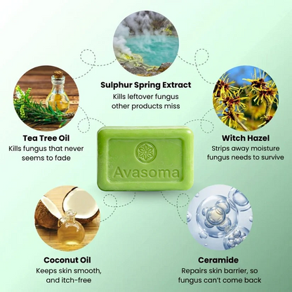🦵Avasoma® Multi-Purpose Antifungal Bar: One Solution for Feet, Body & Persistent Itch