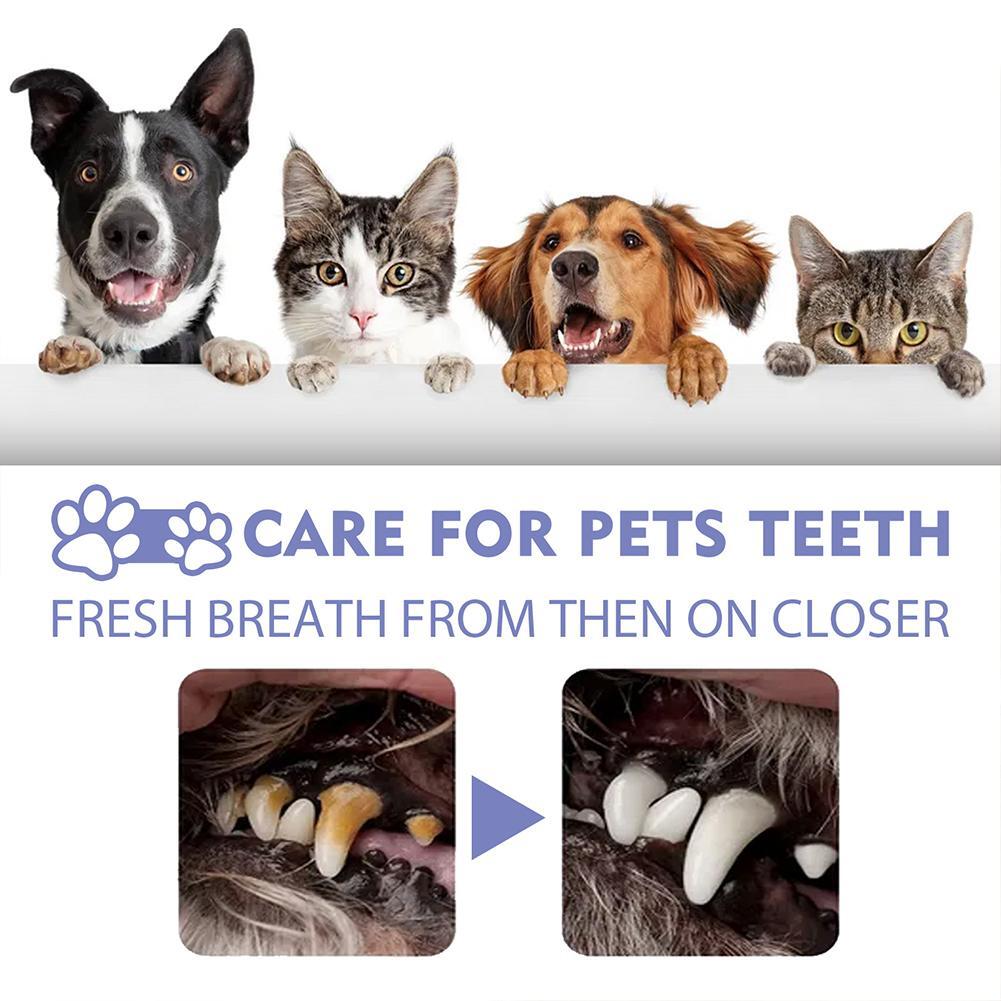 Avasoma® Pet Tooth Cleaning Spray