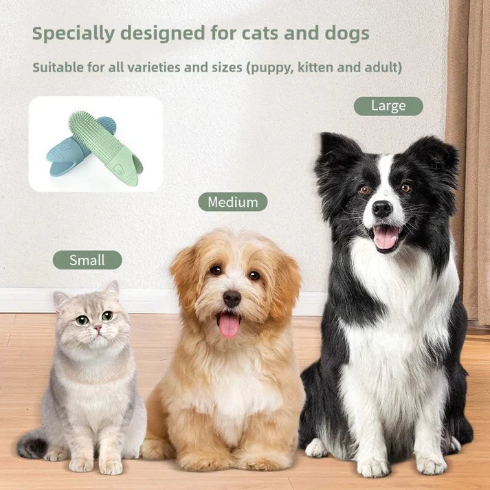 Keep your Pet's teeth clean without the stress of traditional brushing🐶
