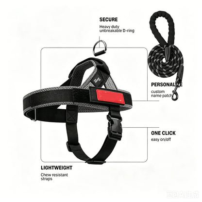 🏉No-Pull Harness