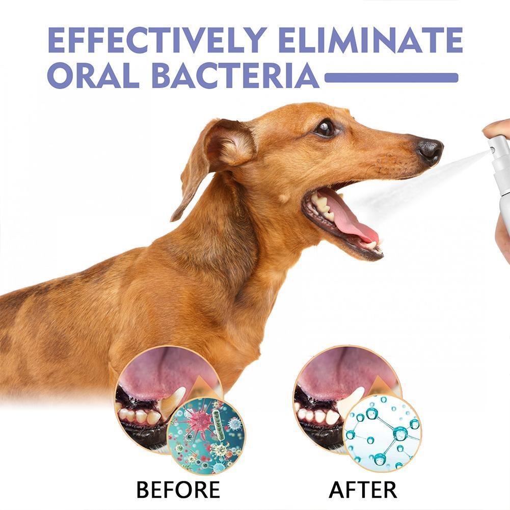 Avasoma® Pet Tooth Cleaning Spray