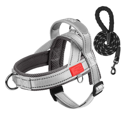 🏉No-Pull Harness