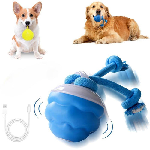 Smart Bouncing Dog Toy – No More Chewed Furniture🐶✨