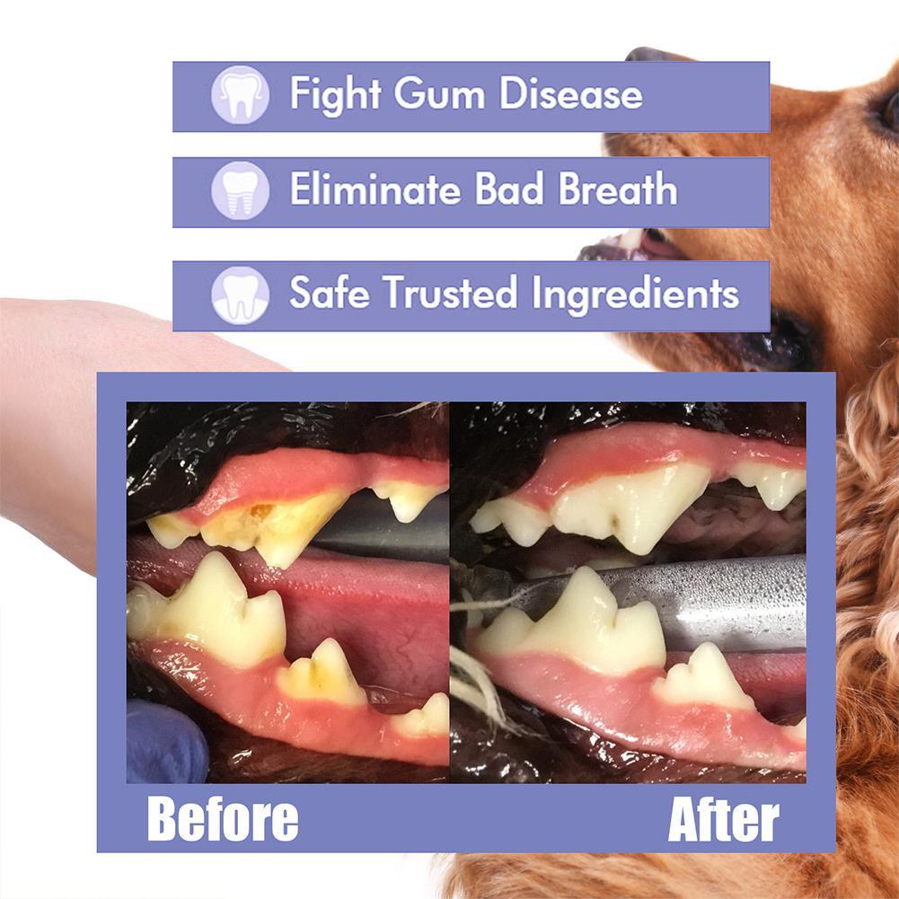 Avasoma® Pet Tooth Cleaning Spray