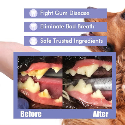 Avasoma® Pet Tooth Cleaning Spray